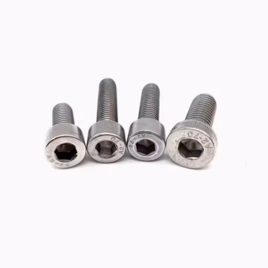 China Factory SS304 SS316 Stainless Steel Fasteners Threaded Rod/ Bolt and Nut/Washer/Anchor/Rigging/Pin/Rivet/Decking Screw/Hex Socket Head Cap Screw
