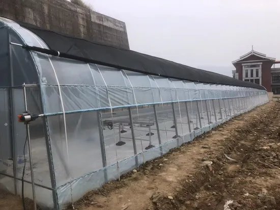 Trinog China fabricó un invernadero agrícola de película plástica hidropónica multispan para granja comercial