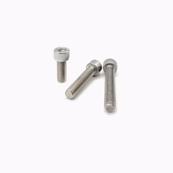 Fábrica de China SS304 SS316 Sujeciones de acero inoxidable Varilla roscada/Perno y tuerca/Arandela/Ancla/Aparejo/Pasador/Remache/Tornillo para terraza/Tornillo de cabeza hueca hexagonal