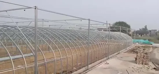 Buen servicio, un solo tramo, Xinhe, proveedor de invernaderos comerciales, industria extractiva, invernadero tipo túnel